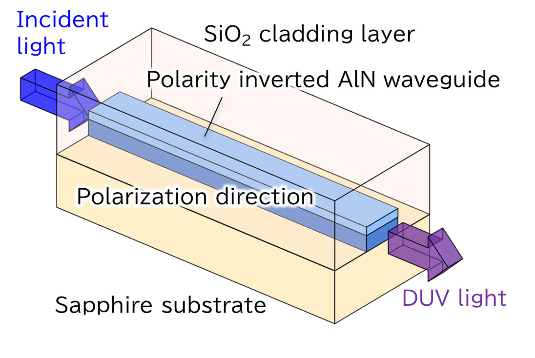 Wavelength conversion device using polarity inverted AlN structure