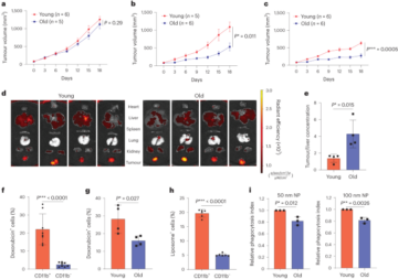 Age-associated disparity in phagocytic clearance affects the efficacy of cancer nanotherapeutics - Nature Nanotechnology