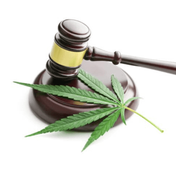 Tribunal de Columbia Británica desestima la demanda por venta minorista de cannabis