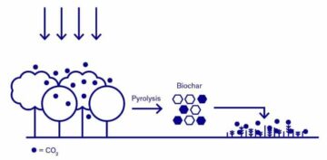 Biochar가 등급을 높입니다: 공학적 탄소 제거의 가능성을 열어줍니다.