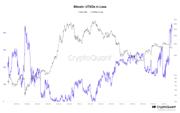 Bitcoin UTXO'er, der gentager 'black swan'-nedbrud fra marts 2020 — Ny forskning