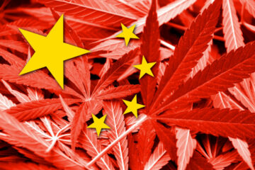 I marchi di cannabis e la Cina: una sfida emergente nel settore della proprietà intellettuale