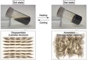 "Ingegneria di contrasto" per nanofogli di ossido di grafene termoreattivi