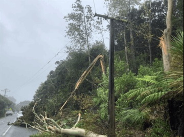 Cyclone impacts on grid highlights importance of resilience planning