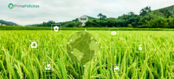 Onderzoek naar de rol van IoT in ecologische duurzaamheid -