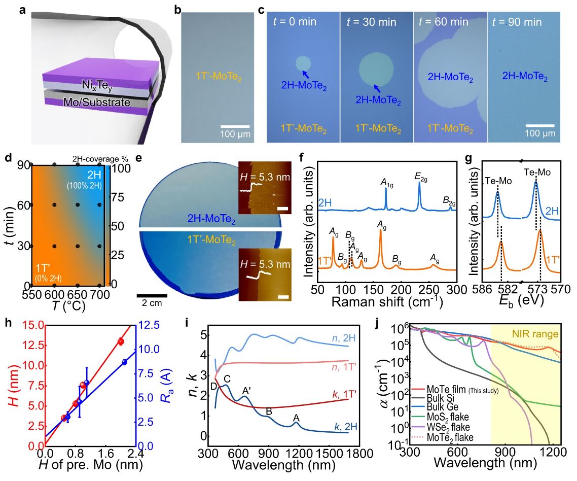 Fabrication of p-type 2D single-crystalline transistor arrays with Fermi-level-tuned van der Waals semimetal electrodes