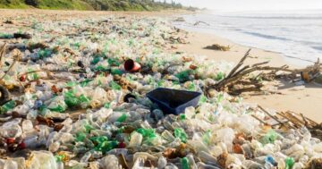 Wie die globale Plastikpolitik die Produktion von Neuplastik bis 30 um 2040 Prozent senken könnte | GreenBiz