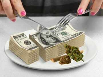 Wie viel geben Sie pro Monat für Gras aus? - Kosten vs. Einkommen für Cannabis