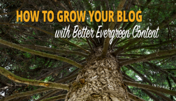 كيف تنمي مدونتك بمحتوى أفضل دائم الخضرة