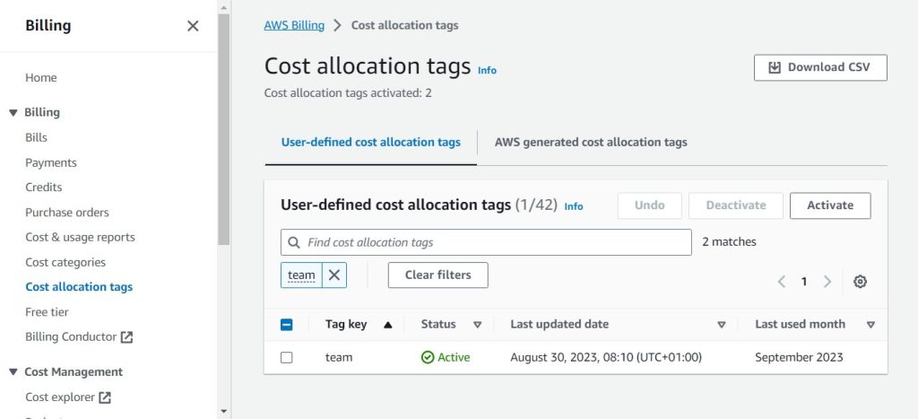 cost allocation tags