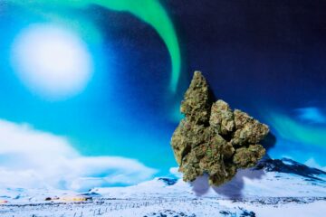 It's time for a Northern Lights resurgence