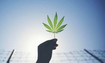 Fængsel for at bruge medicinsk marihuana til at redde dit liv