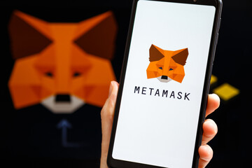 התביעה מציעה שרעיון MetaMask של ארנק קריפטו נגנב מהמפתח הראשוני | חדשות ביטקוין בשידור חי