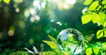 "Milestone": Luontoon liittyvien taloudellisten tietojen työryhmä julkaisee lopulliset suositukset | GreenBiz
