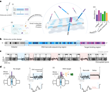 Nanoporensequenzierung von DNA-Barcode-Sonden für den hochmultiplexten Nachweis von microRNA, Proteinen und kleinen Biomarkern – Nature Nanotechnology
