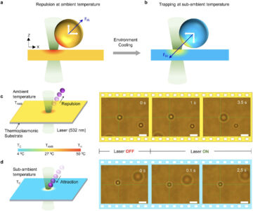 Ny laserpincet tillader skånsom, effektiv manipulation af celler og nanopartikler (m/video)