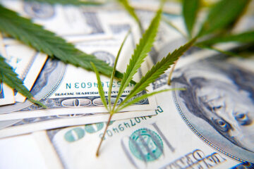Meer dan achthonderd banken dienen een verzoek in om cannabisbedrijven toe te staan, meldt FinCEN | Hoge tijden
