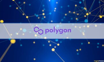 Polygon 2.0: Alt hvad du behøver at vide om 3 PIP'er og fase 0