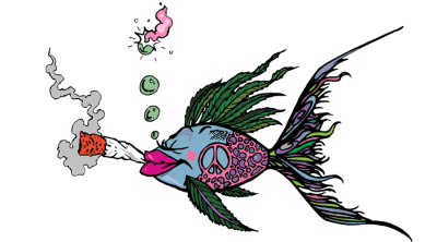 Regulating Cannabis like Fish