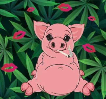 Anhang 3 für Cannabis – Wie Lippenstift bei einem Schwein tatsächlich aussieht