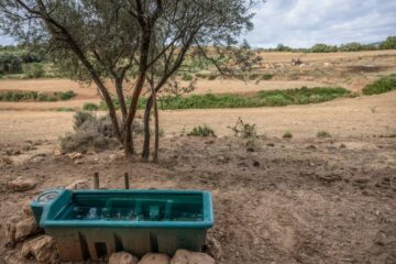 Ο Ισπανικός Όμιλος Βιομηχανίας Τροφίμων κάνει έκκληση για νερό καθώς η ξηρασία απειλεί τις καλλιέργειες