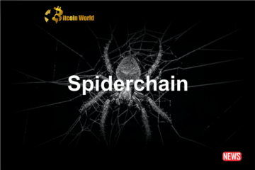 Spiderchain Aims to Merge Ethereum's Functionality with Bitcoin: An In-Depth Look