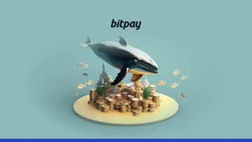 Lưu trữ cụm từ hạt giống tiền điện tử của bạn như cá voi | BitPay
