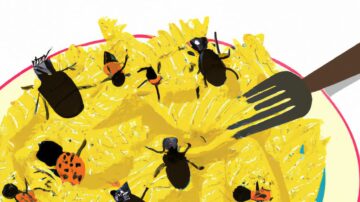 Surprisingly Large Sums Have Gone Into Bug Farming Startups