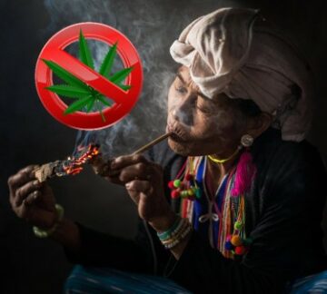 Thailand vil lukke for rekreativt cannabis? Premierminister fortæller FN, at han lukker ukrudt til voksne!