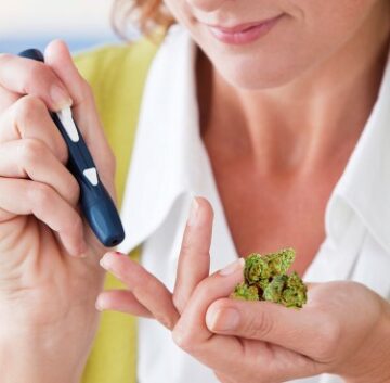 The Fit Stoner - A Cannabis significa o fim do diabetes e uma melhor saúde metabólica para usuários regulares?