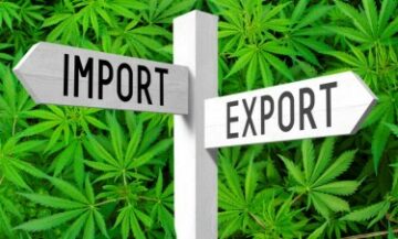 米国抜きでも国際大麻貿易は活況を呈している - どの国が最も大麻を購入、輸入していると思いますか?
