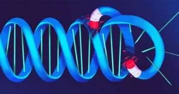Untuk Mempertahankan Genom, Sel Ini Menghancurkan DNA Mereka Sendiri | Majalah Kuanta