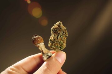 Duas Emendas Relacionadas à Cannabis, Pesquisa Psicodélica Adicionadas ao Projeto de Defesa