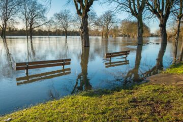 El gobierno del Reino Unido destina £25 millones para proyectos que utilizan la naturaleza para aumentar la resiliencia a las inundaciones | Envirotec
