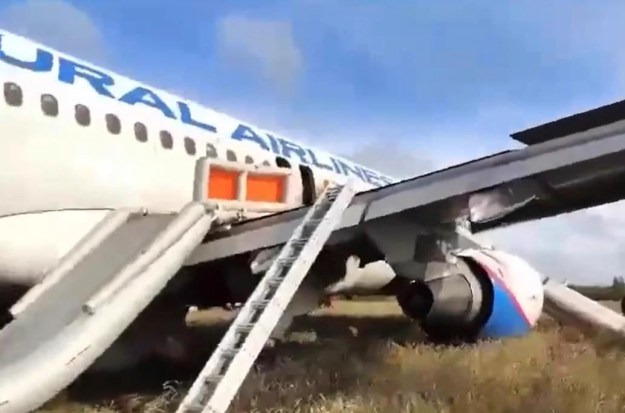 Ural Airlines flight from Sochi to Omsk makes an emergency landing in a field