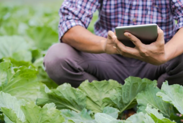 Virgin Media O2 "مزرعه متصل آینده" را در Cannon Hall Farm آزمایش می کند | IoT Now News & Reports