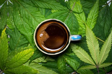 ADDING CANNABIS TO YOUR COFFEE