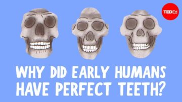 ทำไมเราถึงฟันเก ในเมื่อบรรพบุรุษของเราไม่มี?