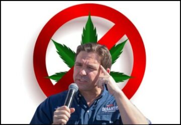 为什么总统候选人罗恩·德桑蒂斯如此讨厌大麻？