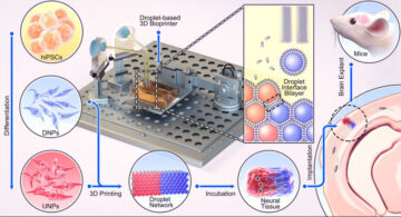 3D প্রিন্টিং নিউরাল কোষ মস্তিষ্কের আঘাত মেরামত করার প্রতিশ্রুতি দেখায়