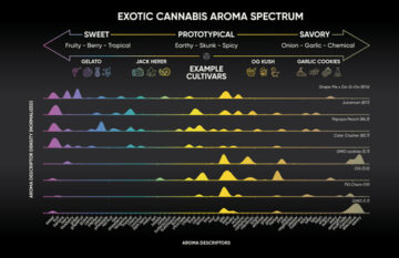 Abstrax descubre nuevos compuestos de sabores exóticos y el sabor oculto del cannabis
