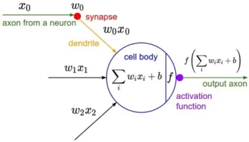 Activeringsfuncties in neurale netwerken