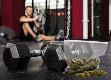 Idrettsutøvere sier at cannabis er best for treningsrestitusjon, melkesyreoppbygging og muskelreparasjon ifølge ny studie