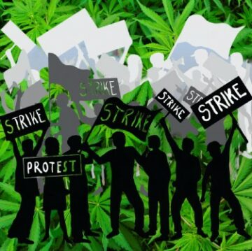 自動車組合労働者がストライキに参加、ミシガン州の地元の大麻薬局で25％割引