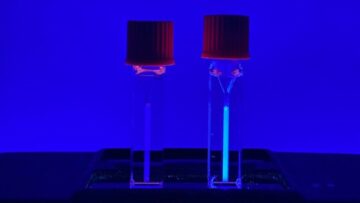 Biokompatibel fokuseret ultralyd leverer kræftlægemidler på mål – Physics World