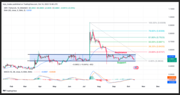 Bitcoin ETF: Weekly Top 5 Cryptos To Watch – XRP, BNB, DOGE, LTC, ADA