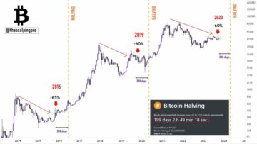 Bitcoin-halvering er 200 dage væk, dette sker hver gang: Er det tid til at fordoble?