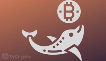 Οι φάλαινες Bitcoin συσσωρεύονται πολύ, ετοιμάζονται να ωθήσουν το BTC στα 30,000 $