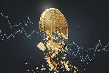 Vzpon bitcoina: zgodba o zadnjem porastu