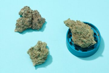 Laut einer Studie hatten Cannabiskonsumenten, die sich mit COVID infiziert hatten, „bessere Ergebnisse und eine bessere Sterblichkeit“ als Nichtkonsumenten